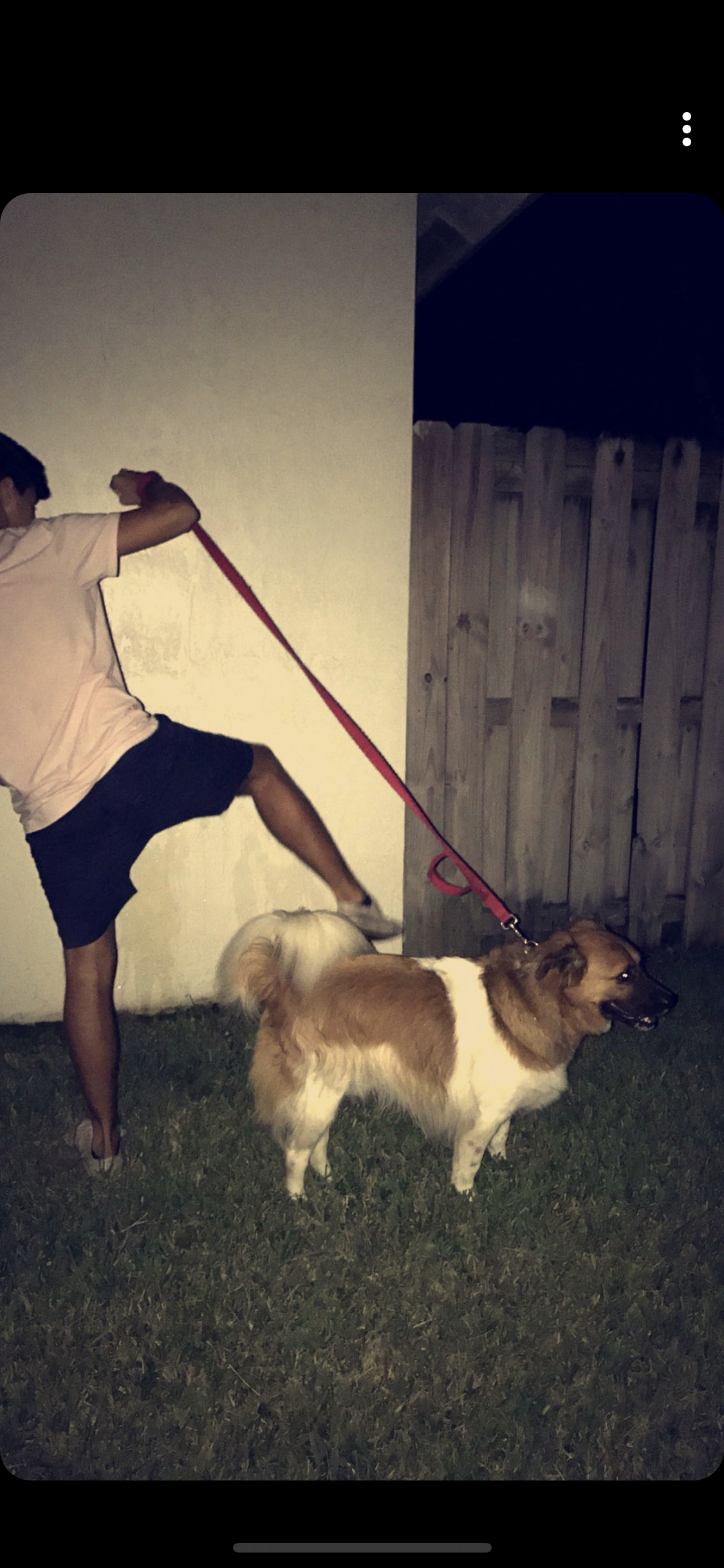 Jake & Marley