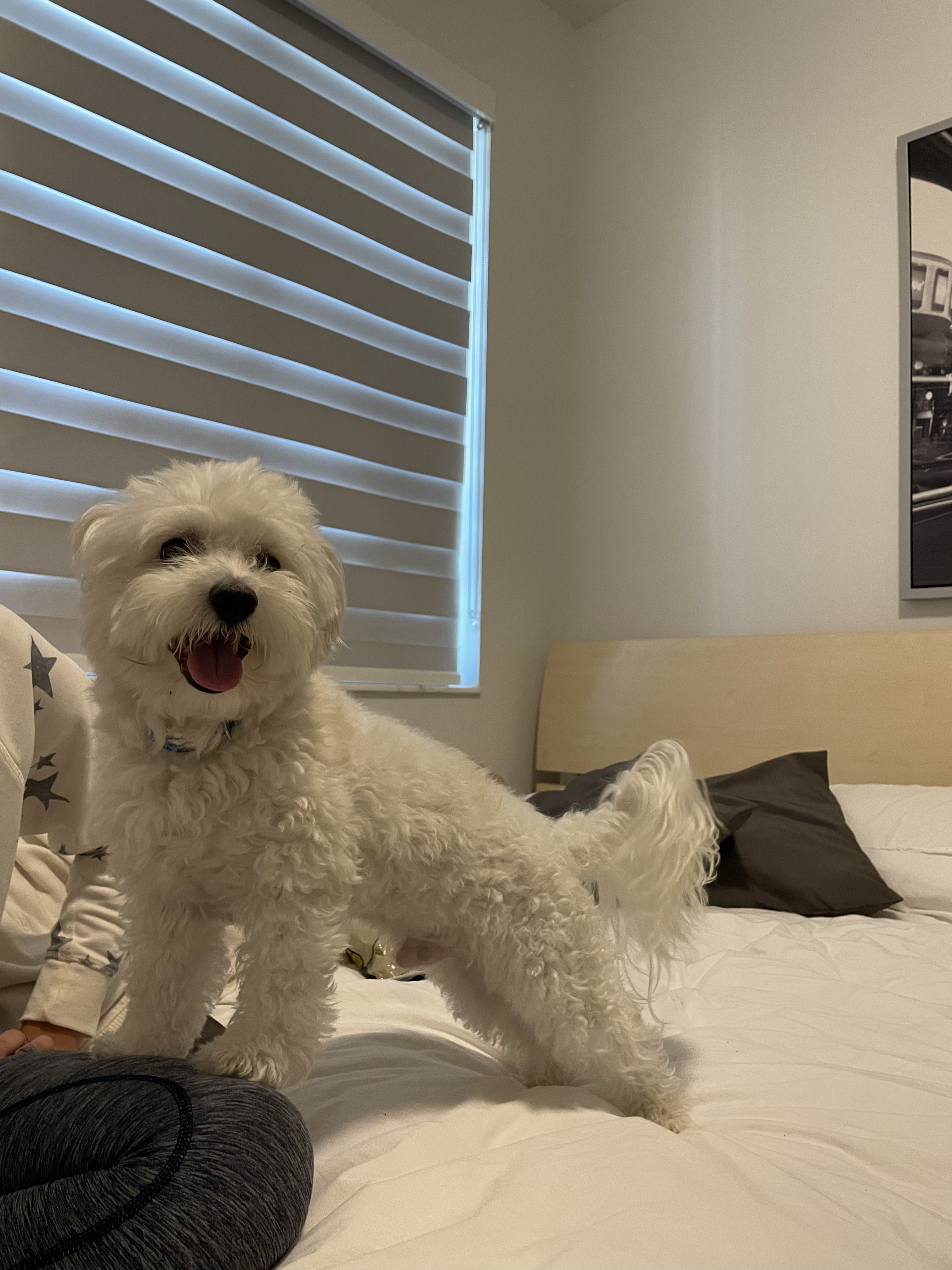 Gabriela & Rocky
