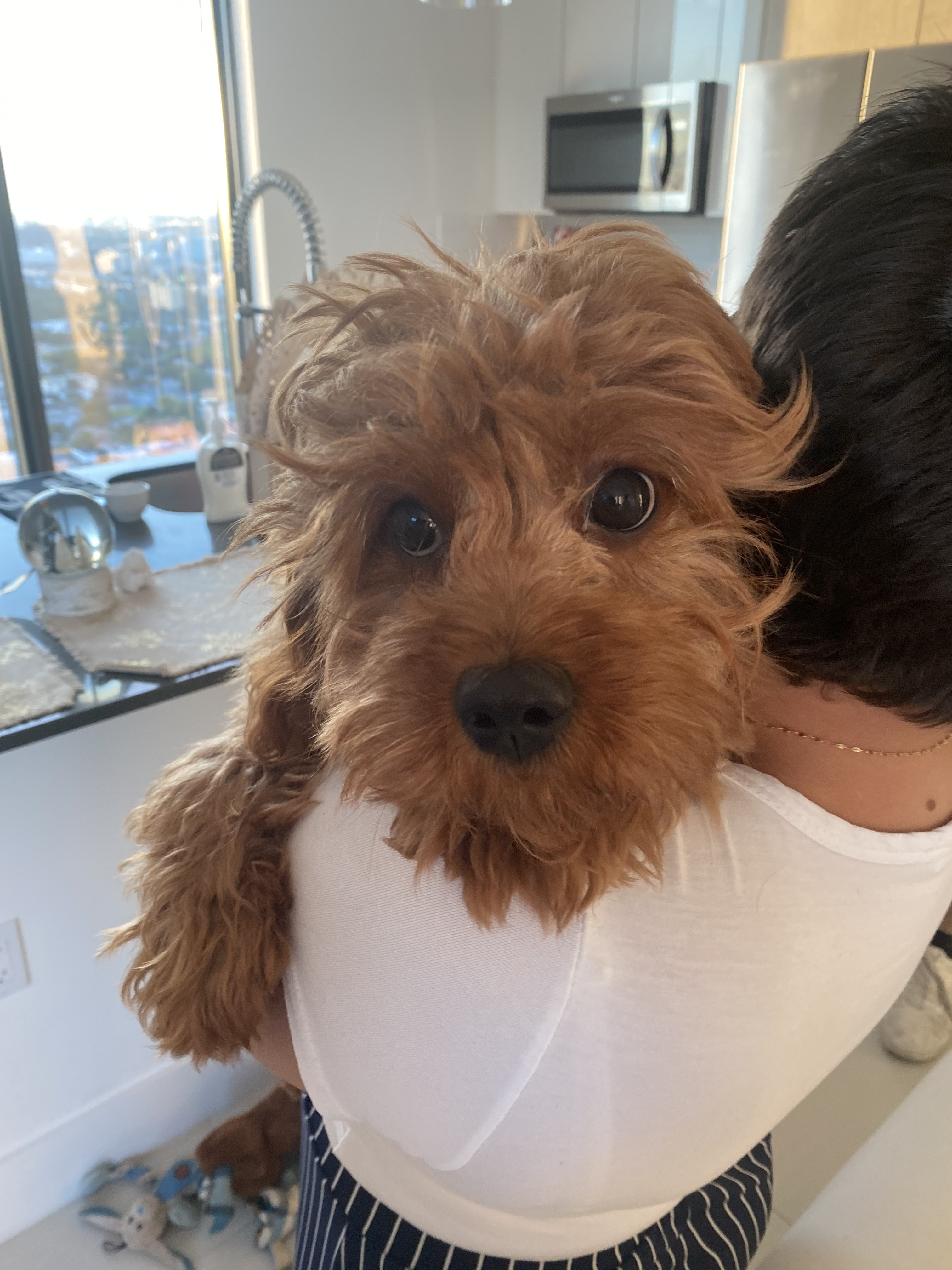 Vanessa & Lucky